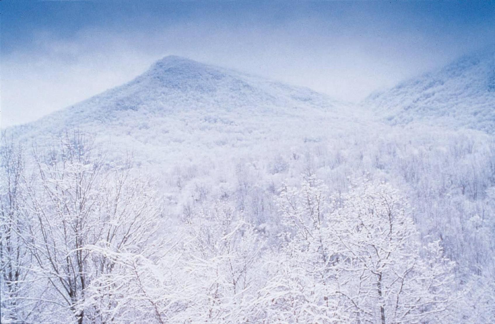 Готель Club Wyndham Smoky Mountains Сев'єрвілл Екстер'єр фото
